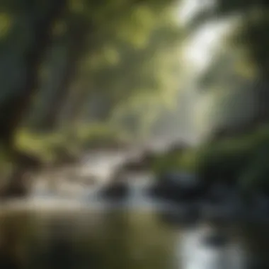 Water flowing through a pristine river