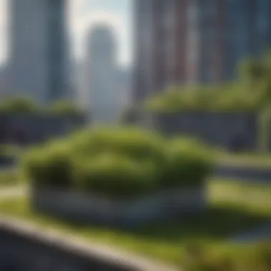 Elevating Urban Landscapes with Green Roofs Urban Green Roof Infrastructure