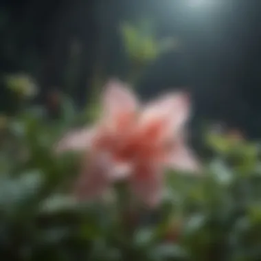 Ethereal Botanical Beauty Ethereal Botanical Beauty