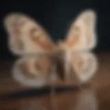 Ethereal Elegance Moth