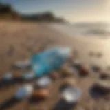 A visual representation of single-use plastic items littering a beach.