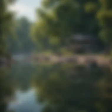 Serene Fishing Locale at Lake Erie Lush scenery surrounding Lake Erie showcasing a peaceful fishing spot