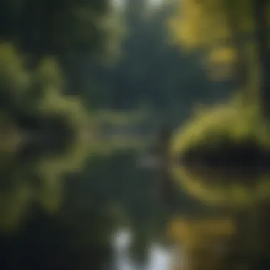 Fisherman casting a line into a secluded pond surrounded by forest