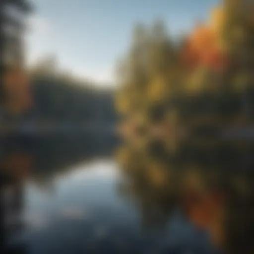 Reflections of towering trees in crystal-clear lake water