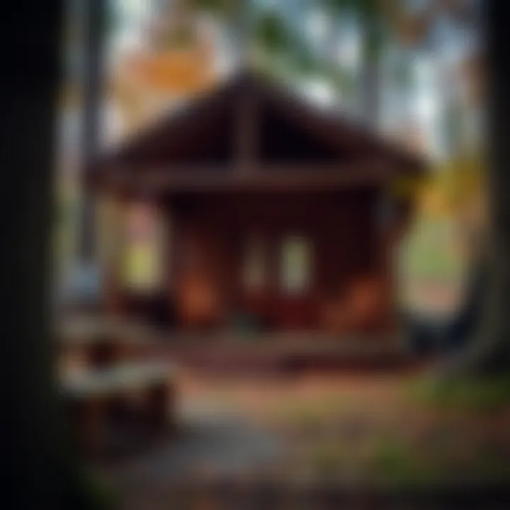 Exploring Cabins in Indian Lake State Park Summary Exploring Cabins in Indian Lake State Park Summary