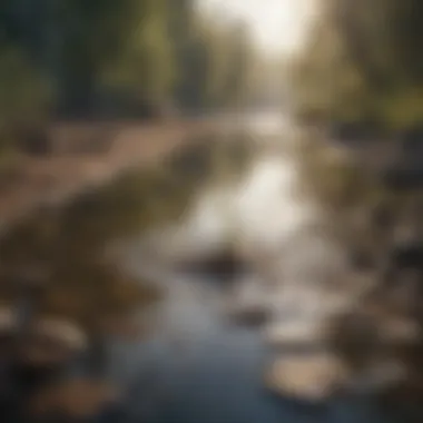 Graphic representation of pollution effects on water resources