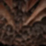 Illustration depicting the intricate wing structure of bats