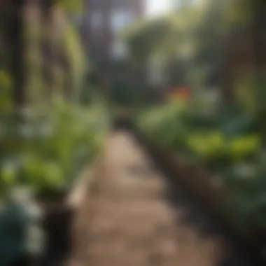 Community Gardening: A Local Initiative Community garden initiative in NYC
