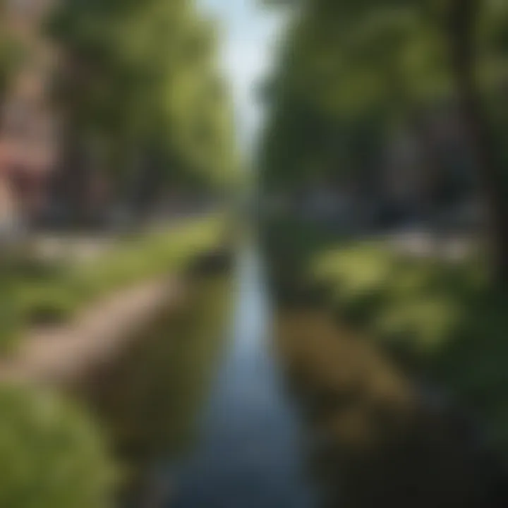 New York City’s green spaces and parks
