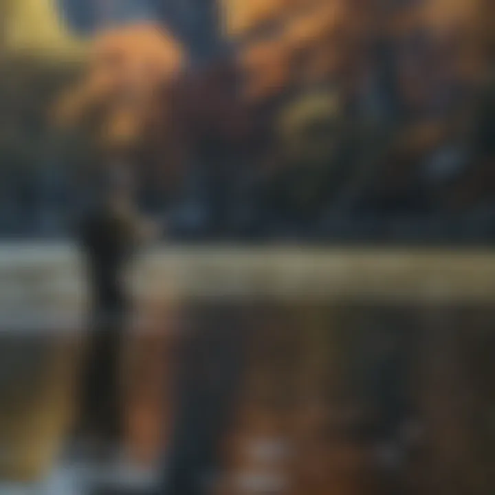 An angler casting a line into the New York waters