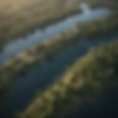 Satellite imagery showing water bodies and conservation areas
