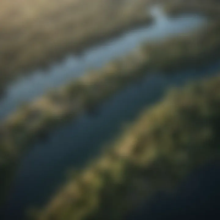 Satellite imagery showing water bodies and conservation areas