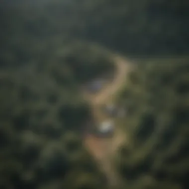 Sustainable Forest Management Initiative Aerial view of a sustainable forest management initiative