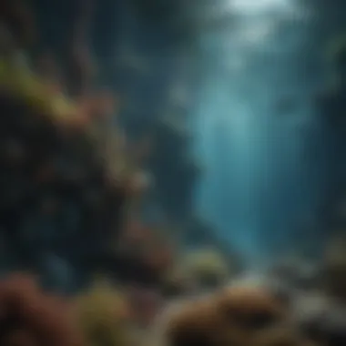 Enigmatic Marine Ecosystem Below Underwater Marine Ecosystem