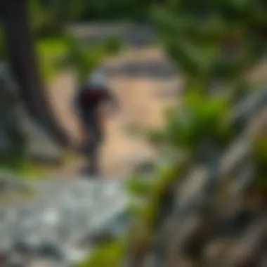 Challenging rocky path perfect for experienced bikers