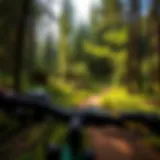 Scenic mountain bike trail winding through lush forest