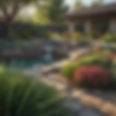 A tranquil backyard featuring a variety of native plants and a water-saving irrigation system