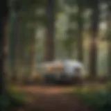 Scenic view of a no fee campground nestled in the woods