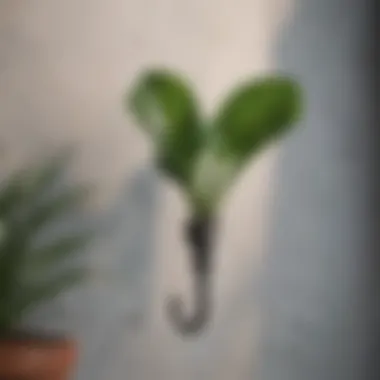 Sleek and Minimalist Plant Hook Minimalist Plant Hook at Walmart