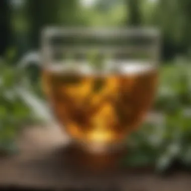Mood-Boosting Herbal Tea Blend Mood-Boosting Herbal Tea Blend