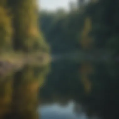 Tranquil Fishing Lake in Ontario Scenic view of a tranquil lake surrounded by lush forests, ideal for fishing.
