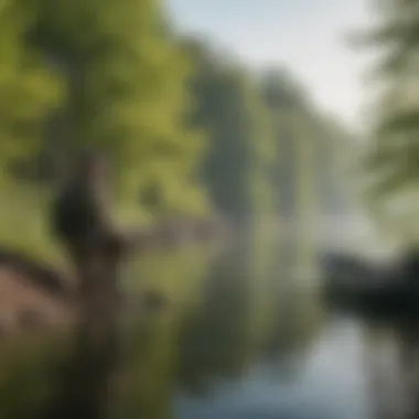 An angler demonstrating effective fishing techniques on Lake Erie in springtime