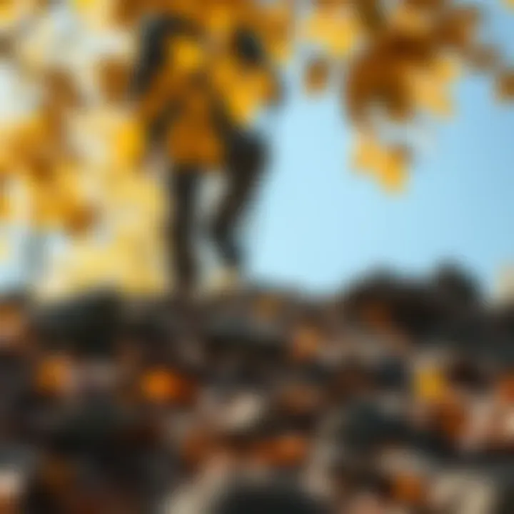 Navigating Rocky Terrain Hiker navigating rocky terrain under autumn leaves
