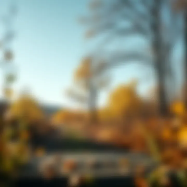 Peaceful Trailhead in Autumn A serene landscape showcasing a peaceful trailhead in autumn