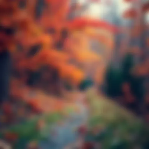 Vibrant fall foliage along a hiking trail