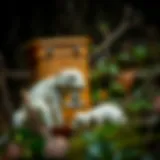 Exploring the Art of Geocaching: Strategies for Finding Hidden Treasures Introduction