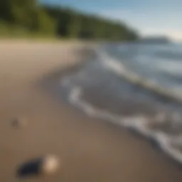 A serene shoreline with gentle waves lapping against the sandy beach under a clear blue sky.