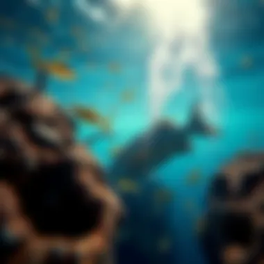 Underwater Ecosystem Conservation A vibrant underwater ecosystem highlighting the importance of conservation.