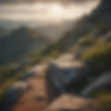 Scenic view from the trail summit