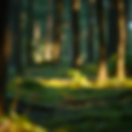 Exploring the Concept of Home in the Forest Introduction