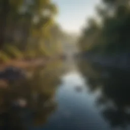 Tranquil stillwater reflecting the surrounding landscape