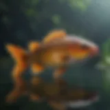 Vibrant lake fish swimming in crystal clear waters