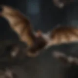 Diverse species of bats in flight