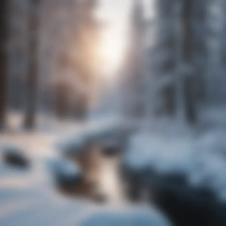 A panoramic view showcasing diverse winter landscapes