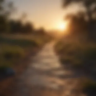 Sunset Reflections: The Journey Ahead A calm sunset view from a walking path