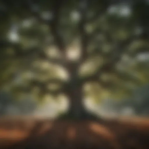 A majestic oak tree showcasing its sprawling branches and dense foliage