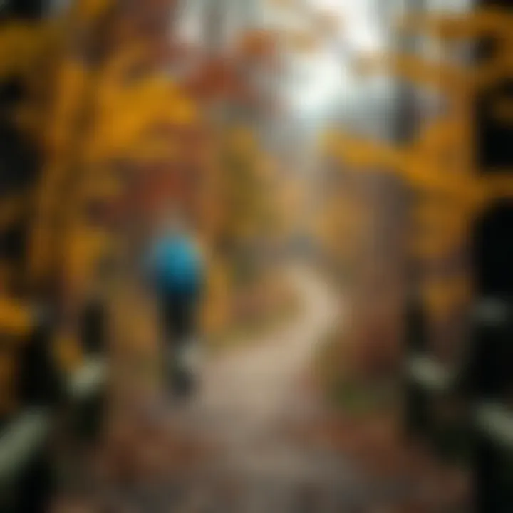 Hiking Through Autumn Colors Hiking path through autumn foliage in Cherry Creek State Park