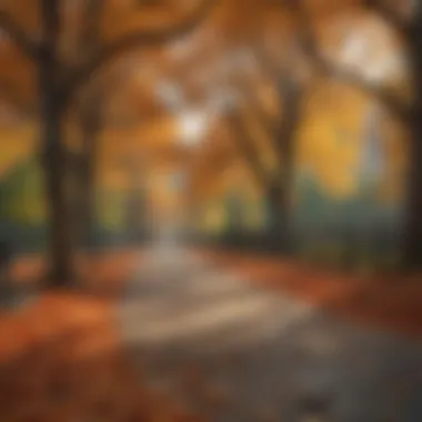 Artistic view of Central Park in autumn colors