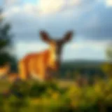Exploring Ulster County Land: Dynamics, Conservation, and Development Introduction
