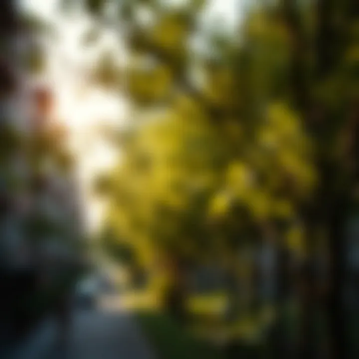 Exploring Urban Forest Tree Services Summary Exploring Urban Forest Tree Services Summary