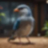 Elegant Aviary Elegance