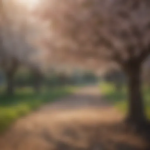 Mature fruit tree in blossom