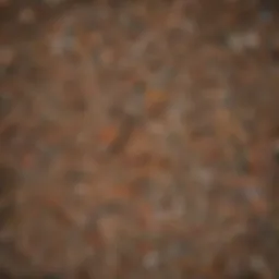 Aerial view of a landfill overflowing with food waste