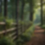 A well-constructed forest fence with lush greenery in the background