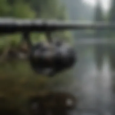 Essential Gear: Rods and Reels Rods and Reels