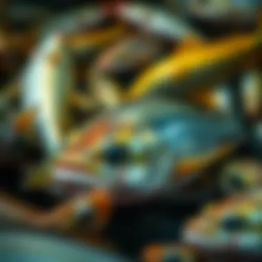 Exploring the Variety of Fish Species in NYC's Freshwater Diverse fish species found in NYC waters